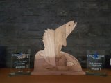 Forumowicz haczyk.pl wygrał Grand Prix Street Fishing Poland 2018!
